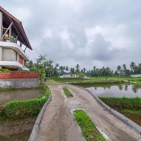 Tarate Loft Studio Ubud